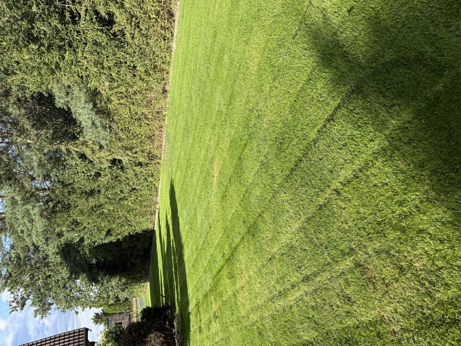 Realizacja Profigarten 12