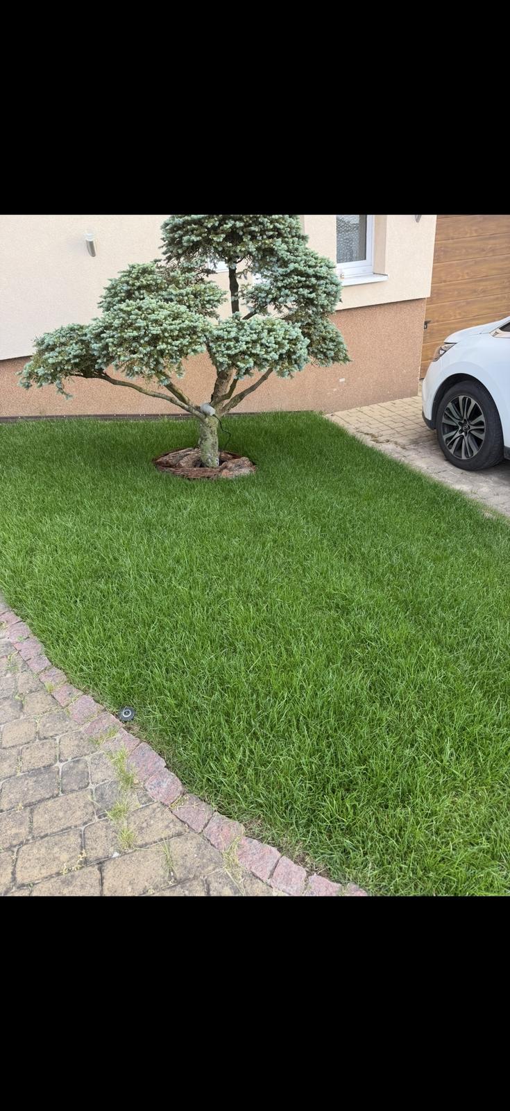 Profigarten - realizacja ogrodu