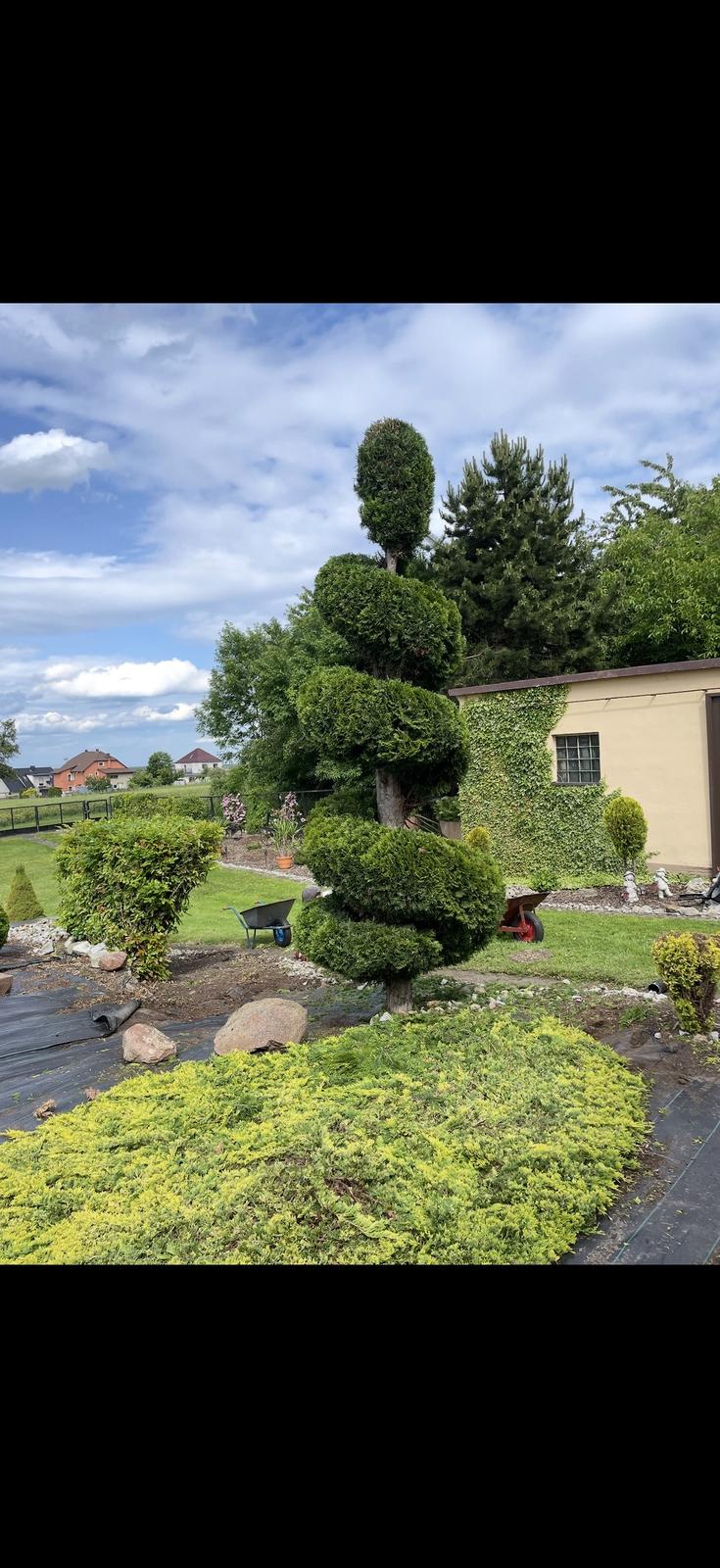 Realizacja Profigarten 4